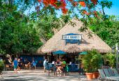 Blue Bamboo Bar