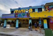 Illuminations Minion Cafe