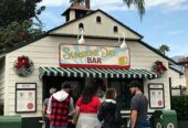 Sunshine Day Bar