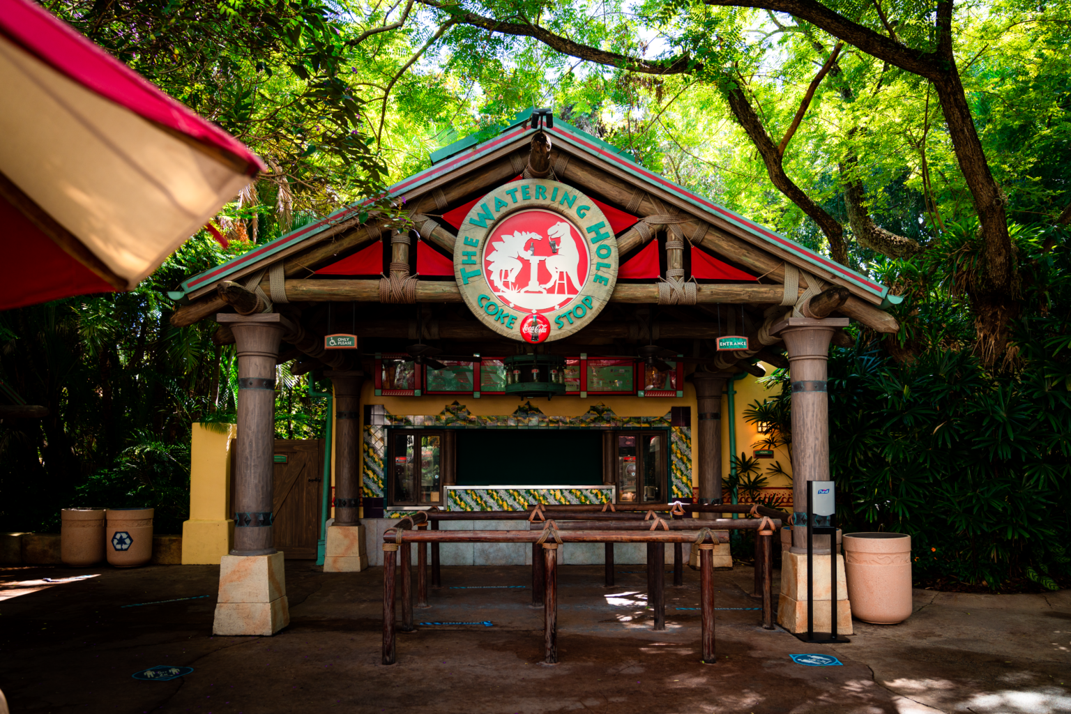 The Watering Hole