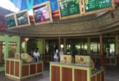 Bambu